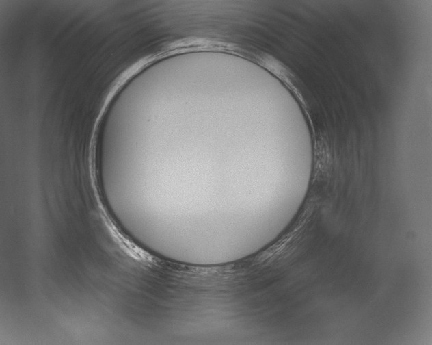 X0000054381098200507290850