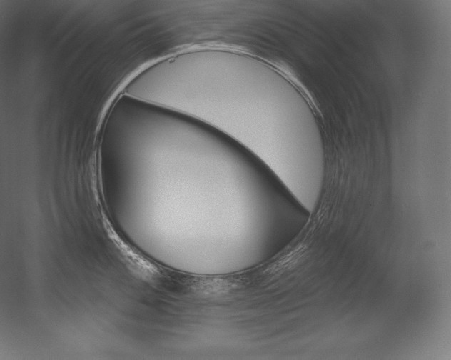X0000054381100200507290850