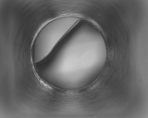 X0000054381102200507290850