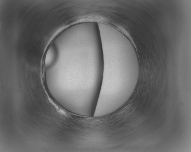 X0000054381103200507290850