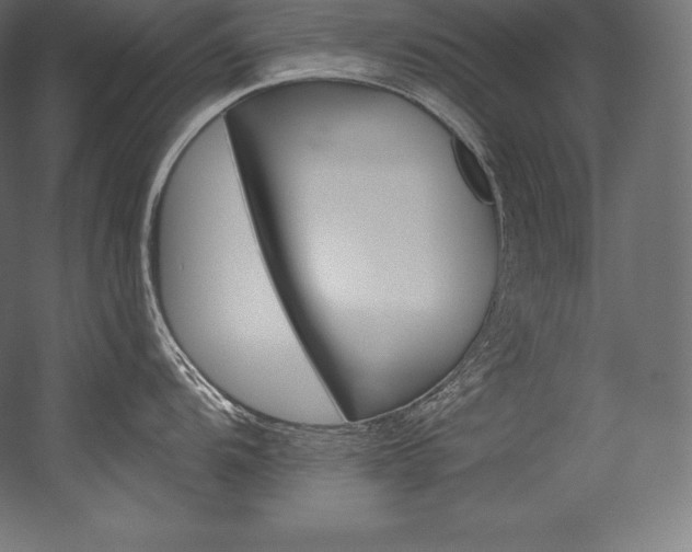 X0000054381104200507290850