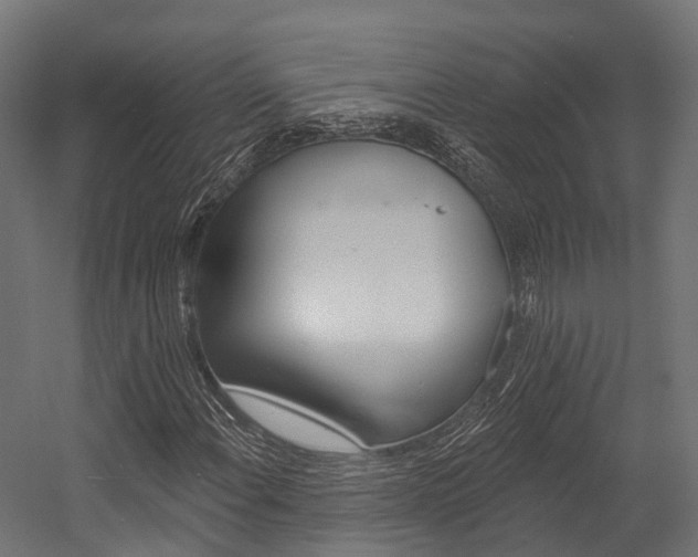 X0000054381108200507290849