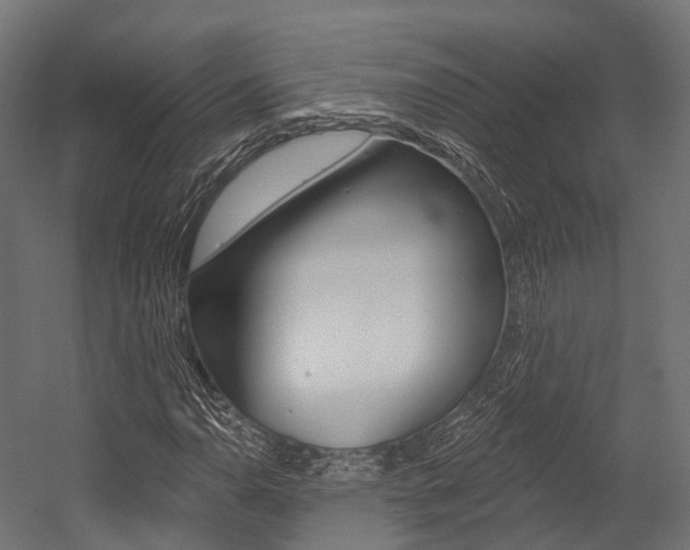 X0000054381110200507290849