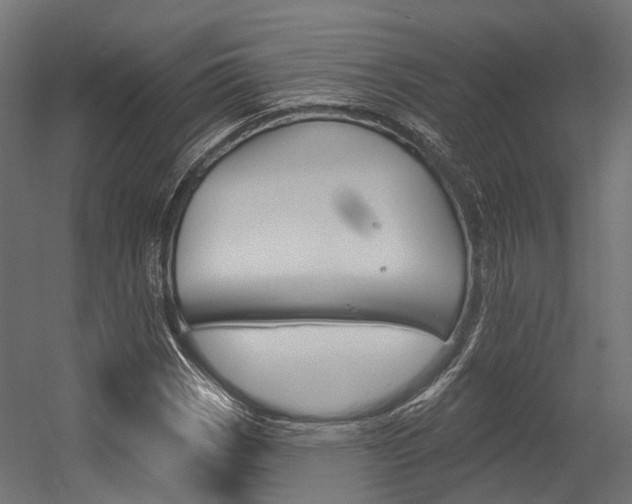 X0000054381113200507290850
