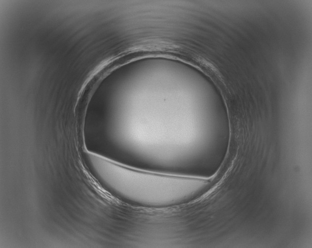 X0000054381114200507290850