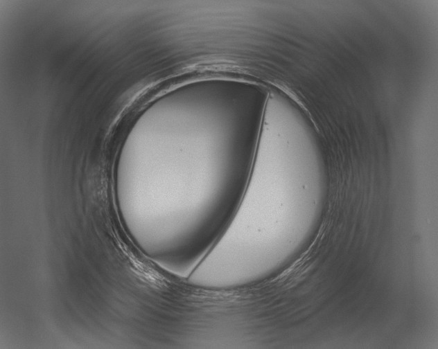 X0000054381115200507290850