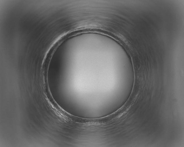 X0000054381118200507290850