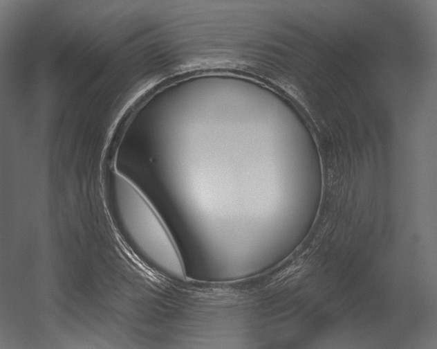 X0000054381119200507290850