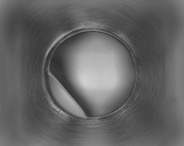 X0000054381120200507290850