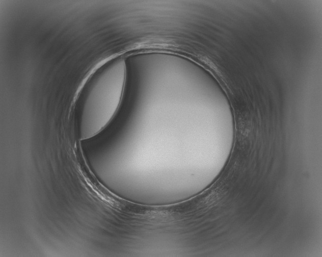 X0000054381123200507290850