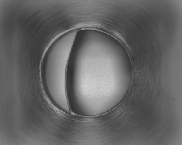 X0000054381124200507290850