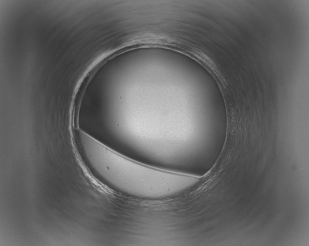 X0000054381128200507290850