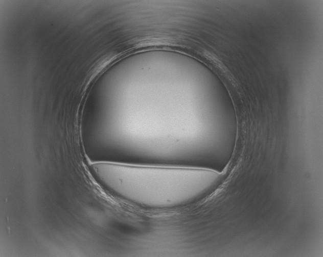 X0000054381129200507290850