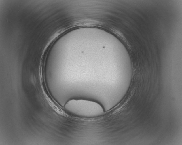 X0000054381130200507290850