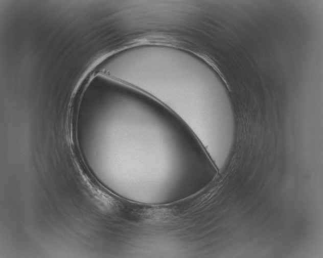 X0000054381131200507290850