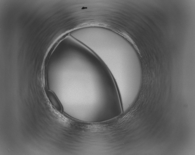 X0000054381132200507290850