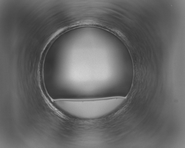 X0000054381134200507290850