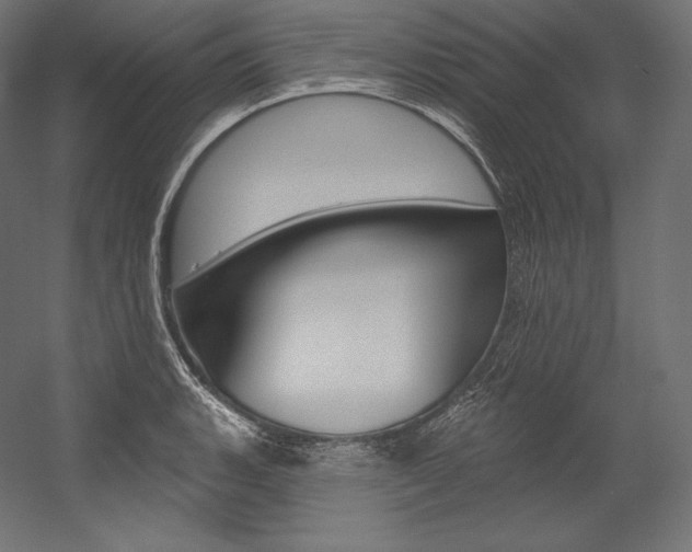 X0000054381135200507290850
