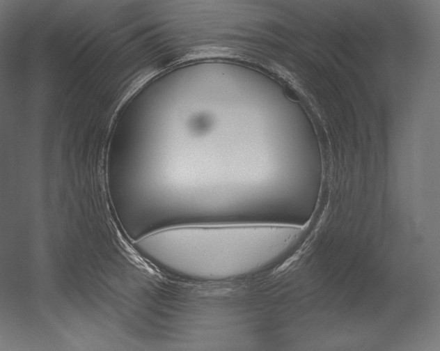 X0000054381137200507290850