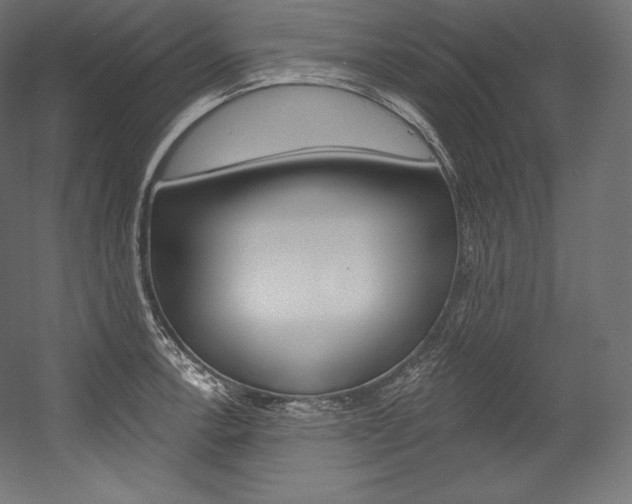 X0000054381138200507290850