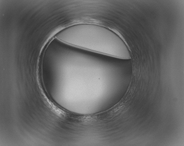 X0000054381139200507290850