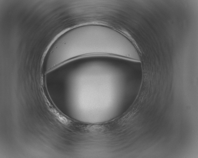 X0000054381140200507290850