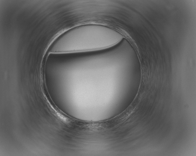 X0000054381141200507290850