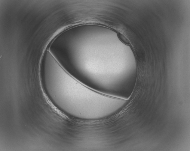 X0000054381142200507290850