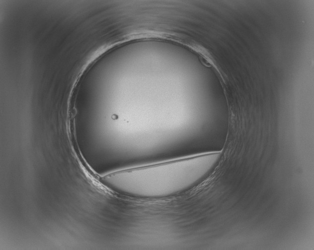 X0000054381143200507290850