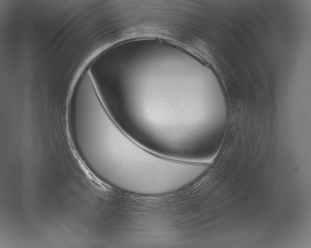 X0000054381144200507290850