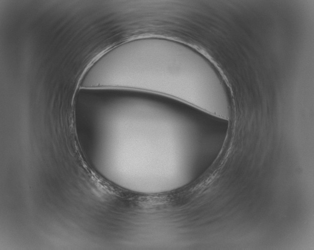 X0000054381145200507290850