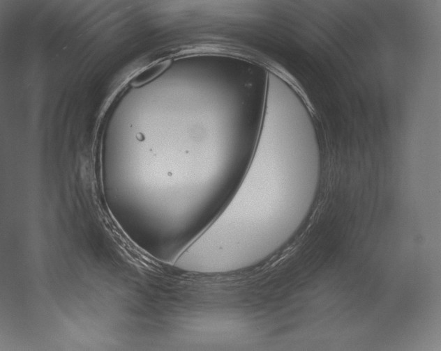 X0000054381146200507290850