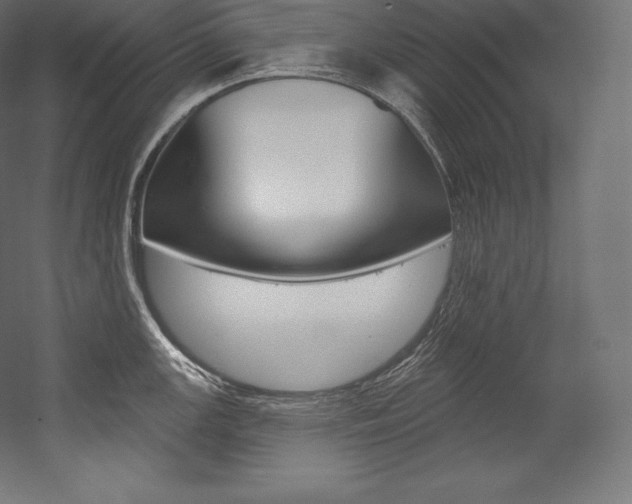 X0000054381147200507290850
