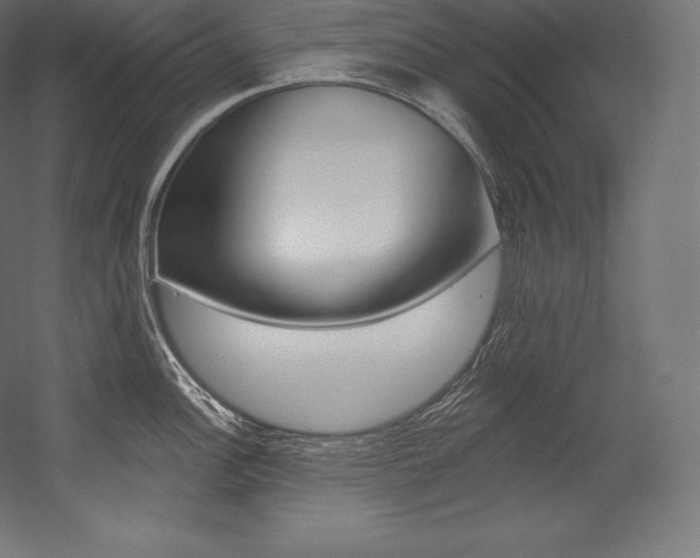 X0000054381148200507290850