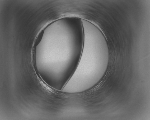 X0000054381151200507290850