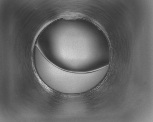 X0000054381152200507290850