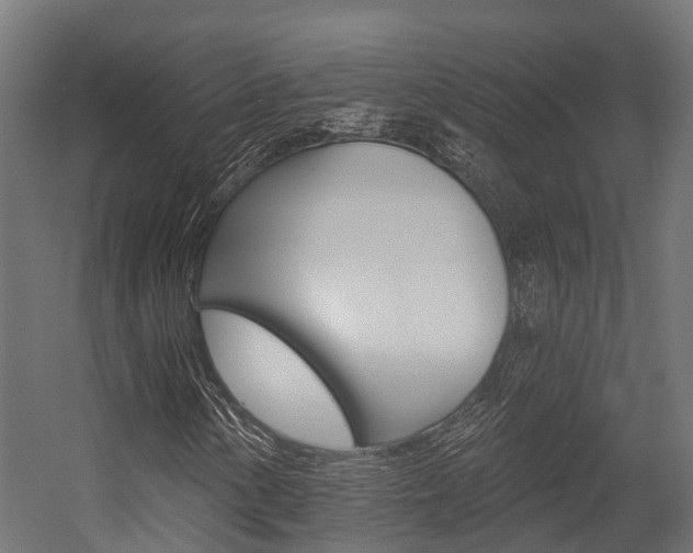 X0000054381154200507290849