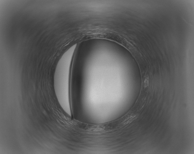 X0000054381156200507290849