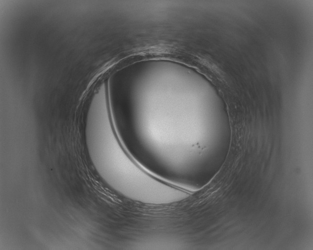 X0000054381160200507290849