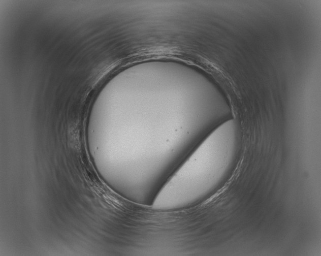 X0000054381162200507290849