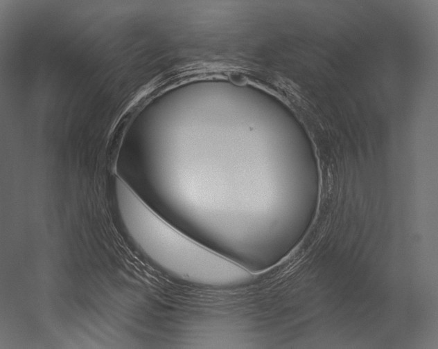 X0000054381165200507290849