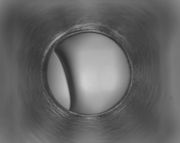 X0000054381166200507290849
