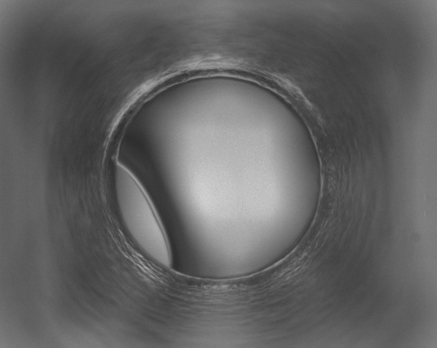 X0000054381167200507290849