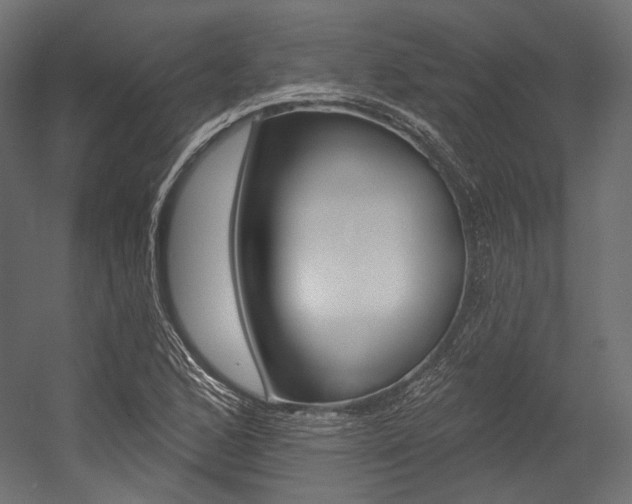 X0000054381168200507290849