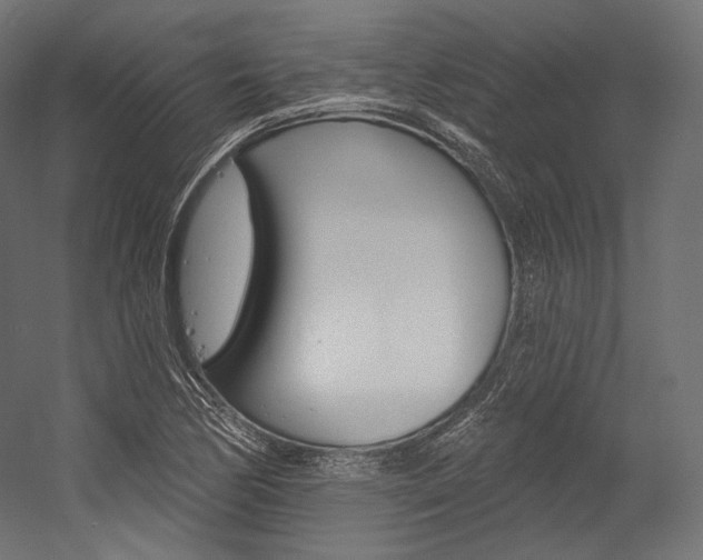 X0000054381170200507290849