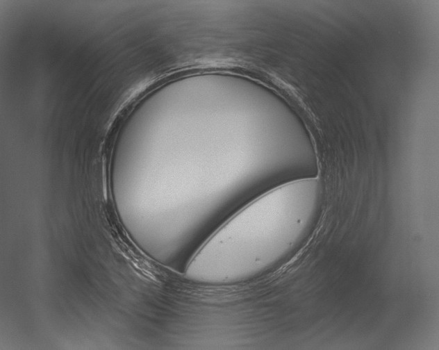 X0000054381171200507290849