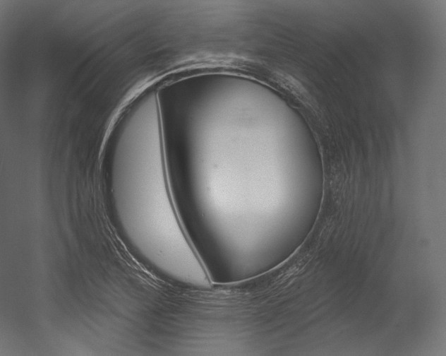 X0000054381172200507290849