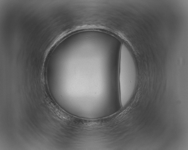 X0000054381173200507290849