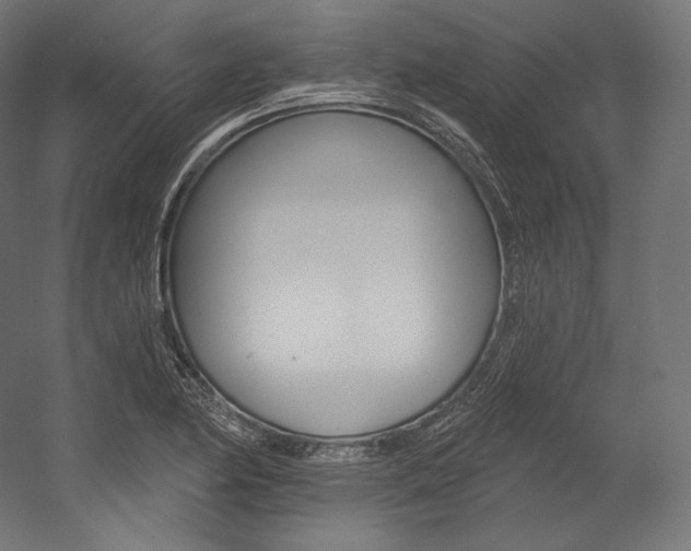 X0000054381174200507290849