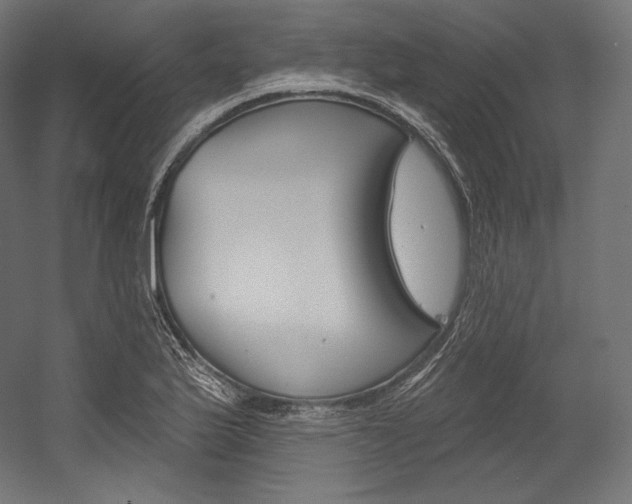 X0000054381175200507290849